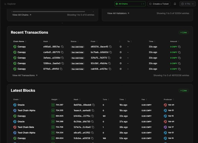A blockchain explorer dashboard showing recent transactions on the Canopy chain with dev limit order status, alongside a latest blocks section listing chains like Oracle, Test Chain Alpha, Test Chain Beta, and Canopy.