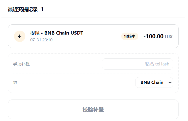 A withdrawal record interface in Chinese showing '提现 BNB Chain USDT' for -100.00 LUX dated 07-31 23:10, currently marked '审核中' (under review) with options for manual txHash input.