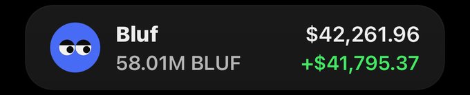 Cryptocurrency tracking widget displaying 'Bluf' at a value of $42,261.96 with holdings of 58.01M BLUF and a positive change of +$41,795.37.