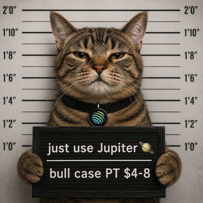 A meme-style image of a tabby cat in a mugshot pose holding a sign that reads "just use Jupiter 🪐 - bull case PT $4-8," referencing the Solana-based DEX aggregator Jupiter.
