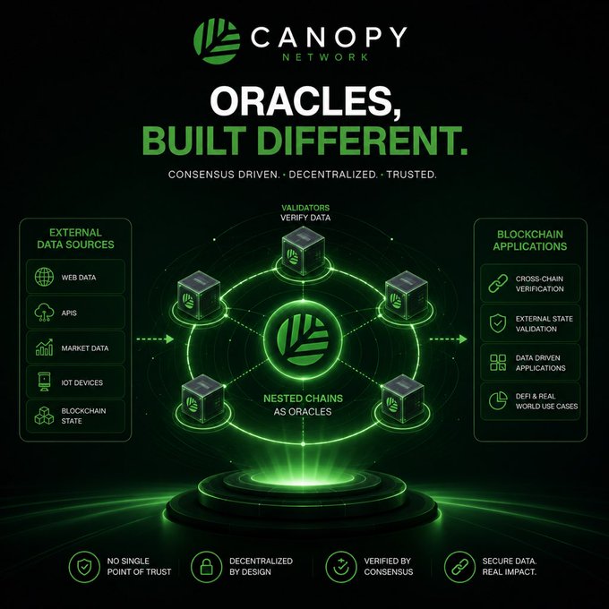 A promotional graphic for 'Canopy Network' with the headline 'ORACLES, BUILT DIFFERENT' and tagline 'CONSENSUS DRIVEN · DECENTRALIZED · TRUSTED,' showing a flowchart of validators and blockchain applications.