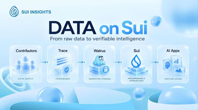 A 'SUI INSIGHTS' infographic titled 'DATA on Sui' illustrating a workflow from Contributors to Trace, Walrus, Sui, and AI Apps, emphasizing verifiable intelligence.