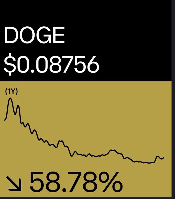 A financial graphic showing DOGE cryptocurrency at $0.08756 with a 1Y chart displaying a 58.78% decline.