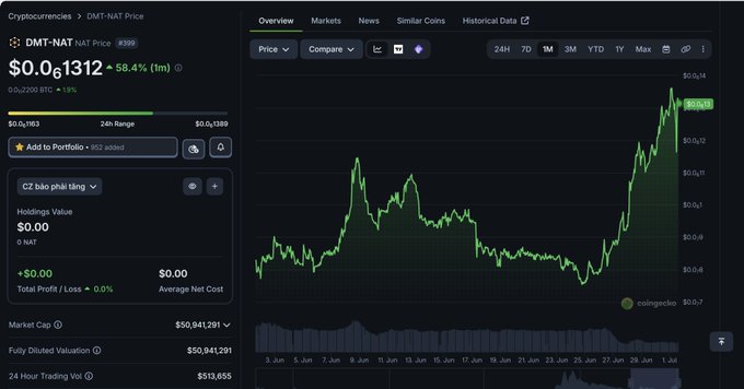 A CoinGecko cryptocurrency price page showing DMT-NAT at $0.0...1312 with a +58.4% 1m gain, market cap of $50,841,291, and a 24h price chart.