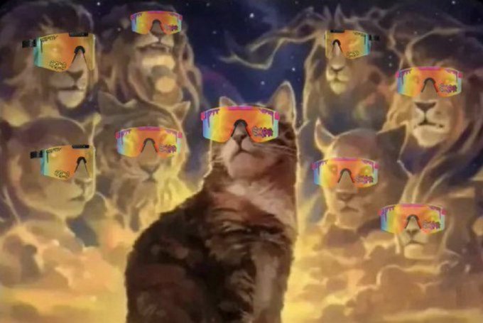 A meme image showing a cat in the center surrounded by lions, all wearing colorful ski goggles, set against a starry sky background.