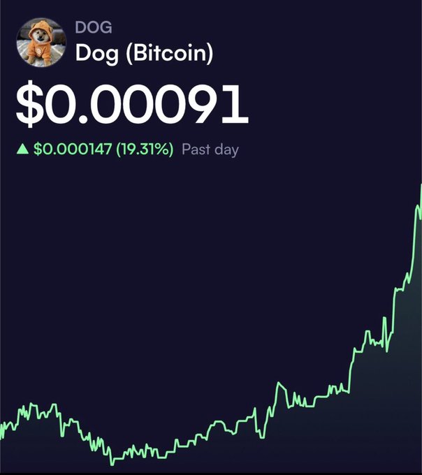 A price chart shows the 'DOG' token (Dog/Bitcoin) at $0.00091, up $0.000147 (19.31%) over the past day, with a green upward-trending line graph.