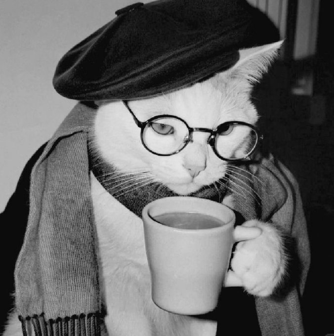 A black-and-white photo of a white cat wearing round glasses, a beret, and a scarf, holding a mug.