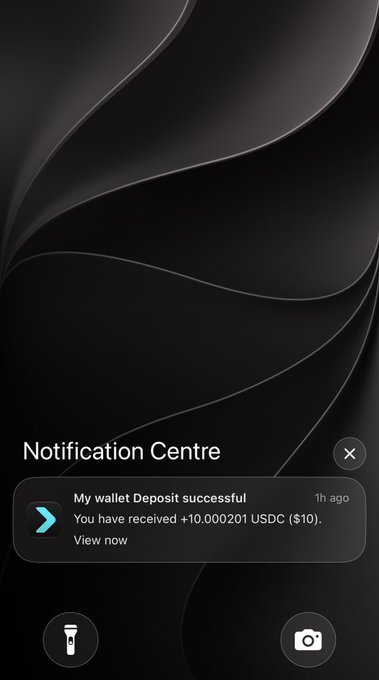 A mobile wallet notification screen displaying 'My wallet Deposit successful - You have received +10.000201 USDC ($10).' from the Notification Centre.