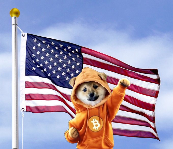 A meme-style image of the Dogecoin Shiba Inu dog wearing an orange Bitcoin hoodie, posing in front of a waving American flag against a blue sky.