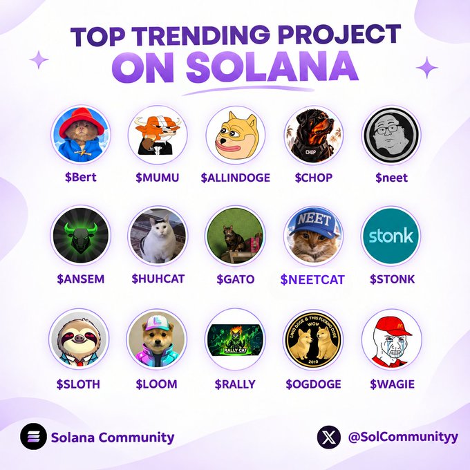 An infographic titled 'TOP TRENDING PROJECT ON SOLANA' showcasing various cryptocurrency tokens with meme-themed profile pictures, including $Bert, $MUMU, $ALLINDOGE, $CHOP, $neet, $ANSEM, $HUHCAT, $GATO, $NEETCAT, $STONK, $LOTH, $LOOM, $RALLY, $OGDOGE, and $WAGIE, credited to Solana Community.