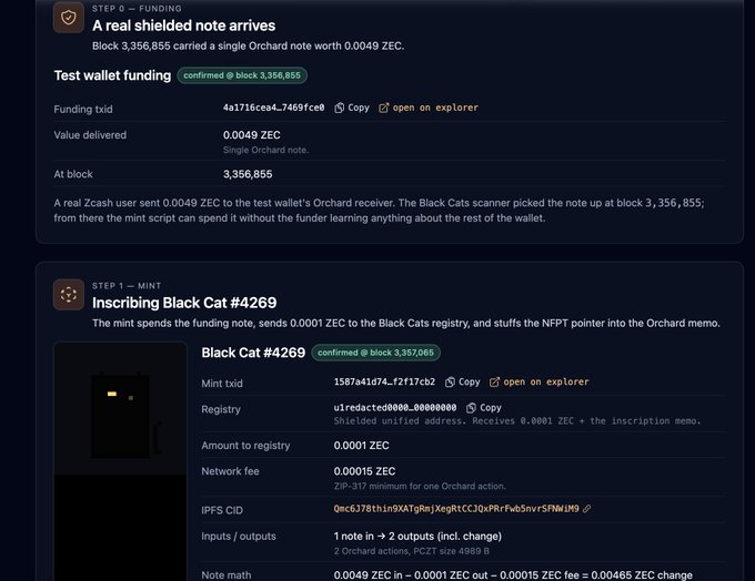 A cryptocurrency transaction interface shows 'A real shielded note arrives' for 0.0049 ZEC followed by 'Inscribing Black Cat #4269' on Zcash block 3,357,065.