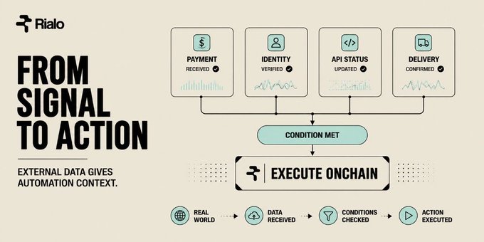 An infographic titled 'FROM SIGNAL TO ACTION' with the Rialo logo, illustrating a workflow where payment received, identity verified, API status updated, and delivery confirmed lead to an 'EXECUTE ONCHAIN' action.