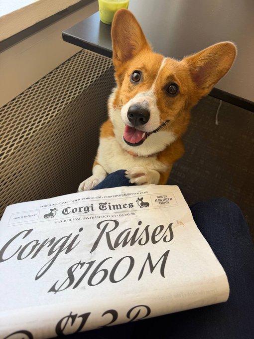 A smiling corgi sits on a chair behind a newspaper headlined 'Corgi Times' with the bold headline 'Corgi Raises $160M'.