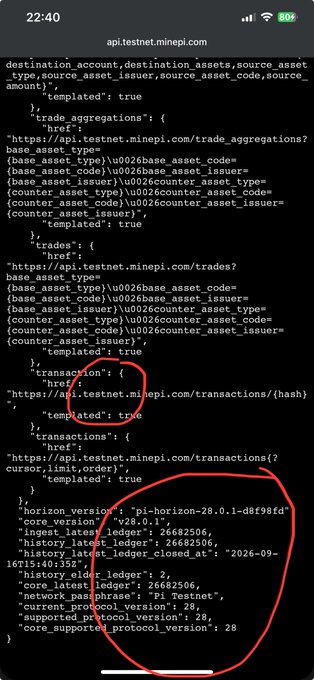 A mobile screenshot of the api.testnet.minepi.com endpoint showing the Testnet's configuration data, with the bottom section circled in red confirming the upgraded versions: "pi-horizon": "28.0.1-d8f98fd", "pi-core": "v28.0.1", and core_supported_protocol_version: 28.