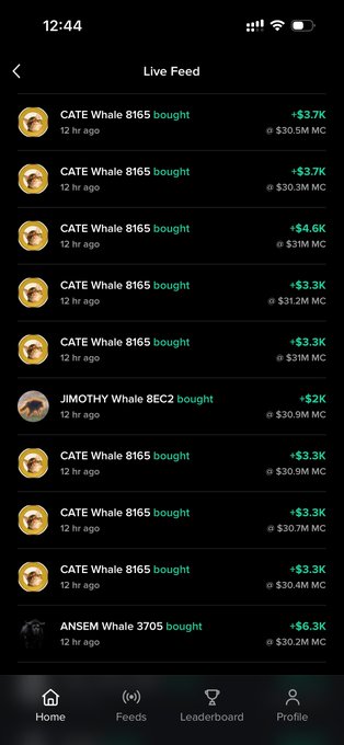 A screenshot of Moby's "Live Feed" showing repeated purchases of "CATE Whale 8165" with values ranging from $3.3K to $4.6K at market caps between $30.3M and $31.2M, alongside a one-time "JIMOTHY Whale 8EC2" buy of $2K and an "ANSEM Whale 3705" buy of $6.3K, illustrating how whales were actively accumulating $CATE on the platform as it climbed toward its all-time high.