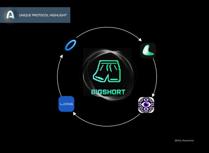 The image showcases "UNIQUE PROTOCOL HIGHLIGHT" featuring the BigShort.xyz logo at the center surrounded by a circular flow diagram illustrating a borrow-to-short workflow with icons representing different steps. The visual maps the protocol's core mechanic (borrow → short → profit/loss), aligning with the post's description of BigShort as a pre-mainnet DeFi tool on Arc designed for users betting against tokens heading to zero.