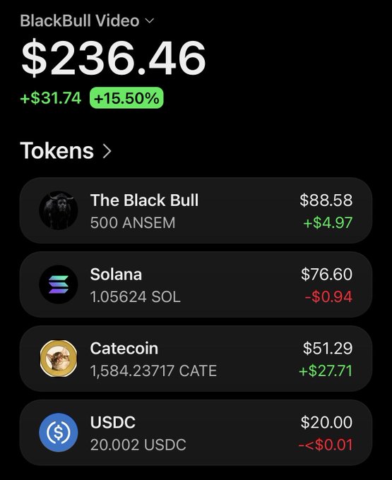A crypto wallet portfolio displays a total of $236.46 (+15.50%) holding The Black Bull ($88.58), Solana ($76.60), Catecoin ($51.29), and USDC ($20.00).
