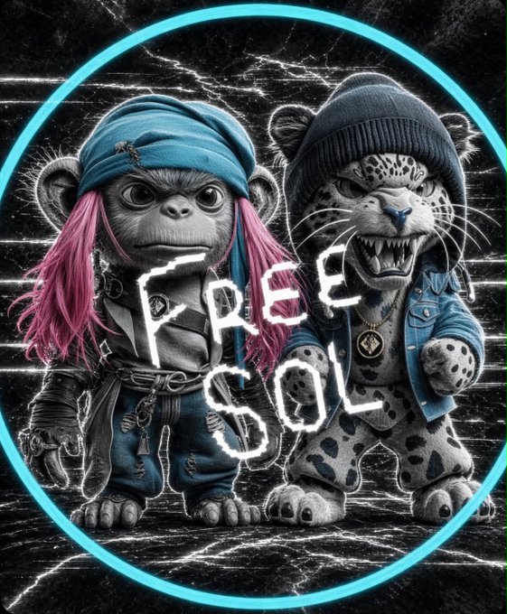 A stylized graphic featuring a monkey in pirate attire with pink hair and a leopard in a beanie and denim jacket, set against a black background with the text 'FREE SOL' (Solana).