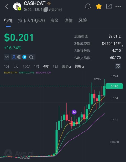 A screenshot of a cryptocurrency price chart for CASHCAT (token address 0x02...18b4) showing the price at $0.201 with a +16.74% gain, a 24-hour trading volume of $4,504.14万 (~$45 million), and a market cap of $2.01亿 (~$201 million), illustrating the post's claim that the token reached a $200 million market cap without coin unlocks.