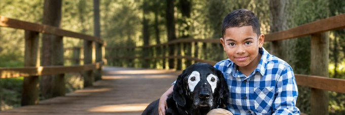 A young boy in a blue checkered shirt poses affectionately with a black and white dog on a wooden forest bridge. The heartwarming image of companionship and trust visually echoes the post's message about $SAME, a Solana project building community identity and early momentum.