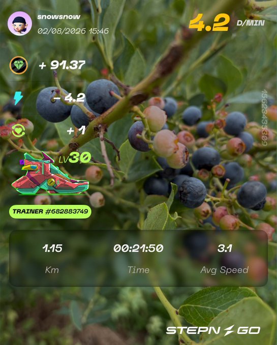 A STEPN Go app screenshot showing user snowwsnow's session at 4.2 D/MIN, using a Level 30 Trainer sneaker #682883749, covering 1.15 km in 00:21:50 with an average speed of 3.1, earning +91.37 GMT and -4.2 energy, displayed over a background of berries on branches.