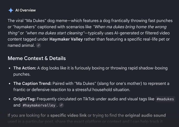 An AI Overview explaining the viral 'Ma Dukes' dog meme, detailing the action, caption trend, and origin tags like #madukes and #haymakervalley.