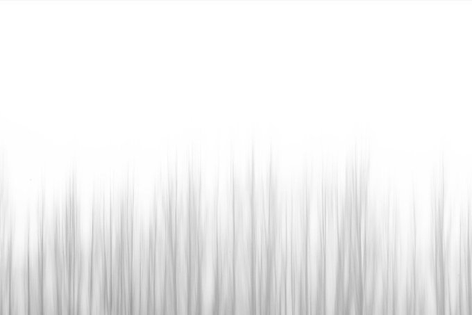 A minimalist image with thin, wispy gray grass blades extending from the bottom against a stark white background.