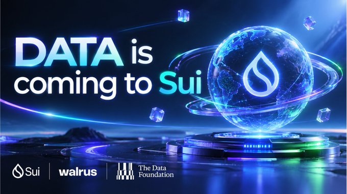 A promotional banner with the text "DATA is coming to Sui," featuring a glowing blue globe with the Sui logo, and partner logos for Sui, Walrus, and The Data Foundation.