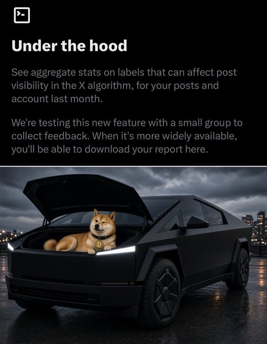 An X (Twitter) feature announcement titled 'Under the hood' about aggregate stats for posts, featuring an image of a Shiba Inu dog sitting in the trunk of a Cybertruck.