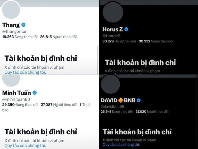 Four suspended X (formerly Twitter) accounts of crypto influencers—all with verified blue checkmarks—are displayed with their follower counts visible: Thang (@thangonton) with 19,263/26,815, Horus Z (@HorusZ) with 30,279/30,232, Minh Tuấn (@minh_tuan88) with 29,350/27,087, and DAVID◆BNB (@davidbnb68) with 26,941/37,020. Each profile shows a "Tài khoản bị đình chỉ" (Account suspended) notice, illustrating X's recent crackdown on high-profile crypto accounts.