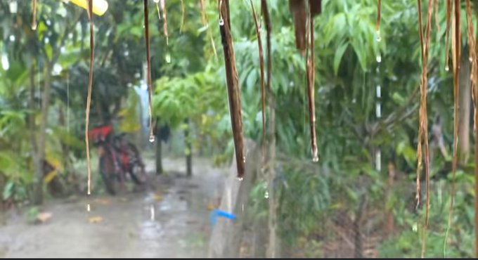 A view through a window of a rainy outdoor scene, with water droplets and vertical streaks on the glass, framing a red bicycle parked among green plants.