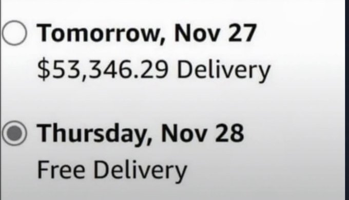 A shipping delivery option screen shows two choices: 'Tomorrow, Nov 27' for $53,346.29 Delivery, and 'Thursday, Nov 28' for Free Delivery, which is currently selected.