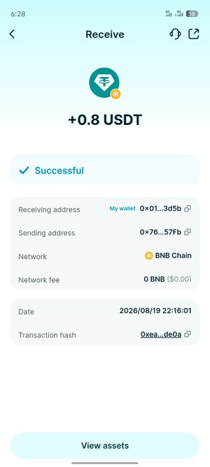 A mobile crypto wallet screenshot showing a successful receipt of +0.8 USDT on the BNB Chain, with the transaction dated 2026/08/19.