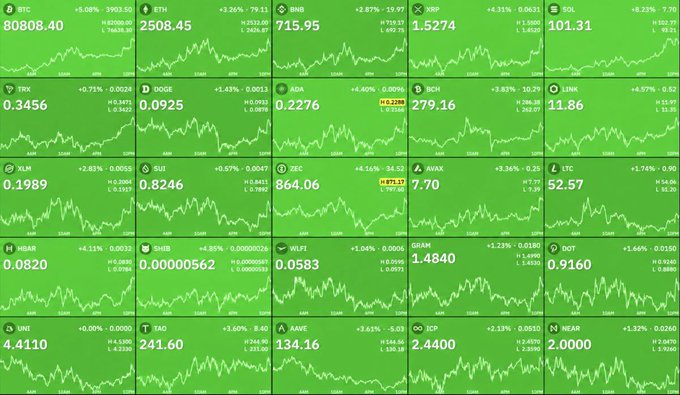 A cryptocurrency market dashboard showing various coins in green including BTC (80808.40), ETH (2508.45), BNB (715.95), XRP (1.5274), SOL (101.31), and ZEC (864.06) with their price charts.