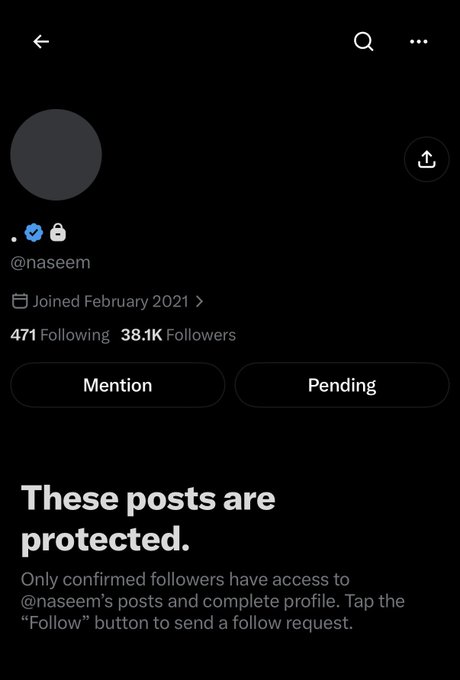 A screenshot of an X (Twitter) profile for @naseem showing '38.1K Followers' and '471 Following', with a message stating 'These posts are protected.'