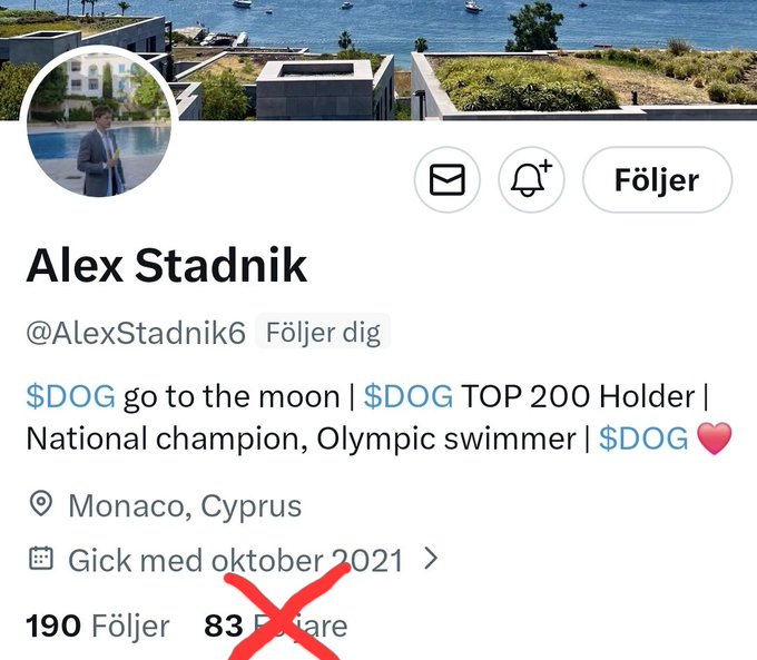 The image features a post by Alex Stadnik, who has been tagged with a $DOG follow. The post includes a photo of a dog and a message about dogs. The caption reads "I don't care if it's a bear market. It's still $DOG follow @AlexStadnik6". This post is being shared on social media by someone named Alex Stadnik, who has been tagged with the $DOG follow.