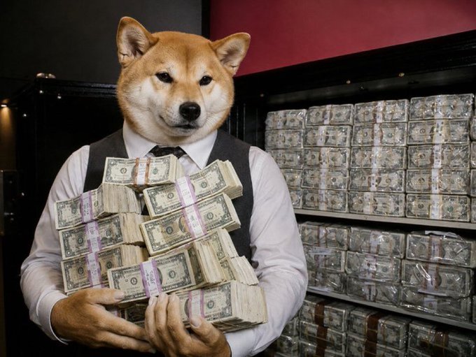 Meme-style image of a Shiba Inu dog dressed in a white shirt, black vest, and tie, holding large stacks of cash in front of shelves full of money.