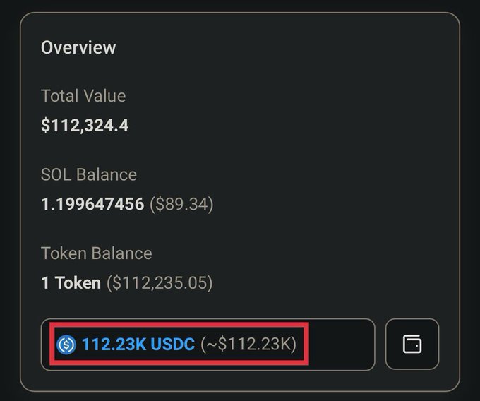 A cryptocurrency wallet overview screen showing a Total Value of $112,324.4, with a SOL Balance of 1.199647456 ($89.34), Token Balance of 1 Token ($112,235.05), and a highlighted balance of 112.23K USDC (~$112.23K).