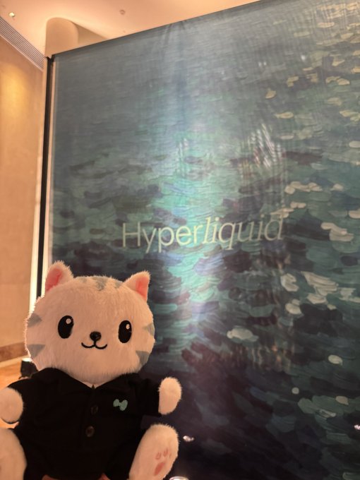 A white plush cat wearing a black button-up shirt sits in front of a textured backdrop displaying the 'Hyperliquid' logo.