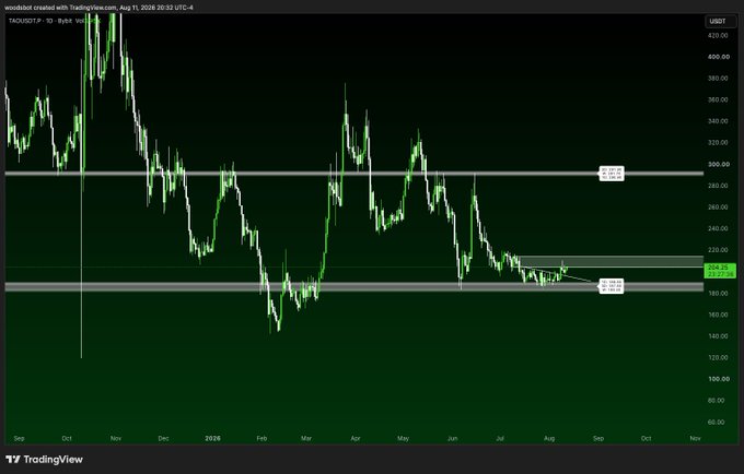A TradingView candlestick chart of TAO/USDT on a 1-day timeframe shows the price consolidating near the $200 level, with key horizontal support zones marked around $180-$200 and resistance near $300. The recent sideways action near multi-month lows supports the post's sentiment that TAO may be gearing up for a significant move.

Key text visible: "TAOUSDT · 1D · Bybit", "207.27", $300.00 resistance line, and $180-$200 support zone.