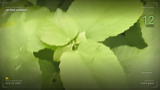 A green-tinted graphic showing leaves with text overlays including 'verified outdoors', 'CURRENT STREAK DAY 12', 'TOP 10% URBAN FORAGING', and 'DATE OF CERTIFICATION AUG 10, 2026'.