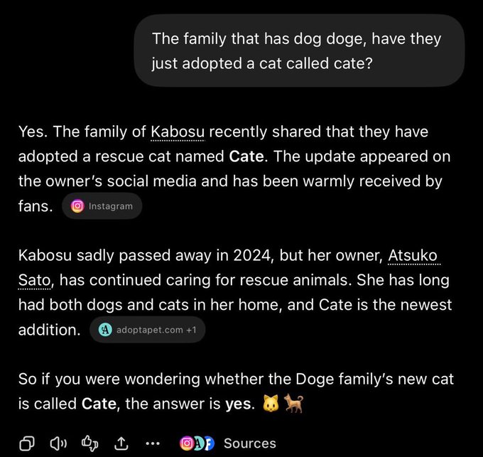 A chatbot conversation confirming that the family of Kabosu (the Doge dog) recently adopted a rescue cat named Cate, noting that Kabosu passed away in 2024 but her owner Atsuko Sato continues caring for rescue animals, with sources cited from Instagram and adoptapet.com.
