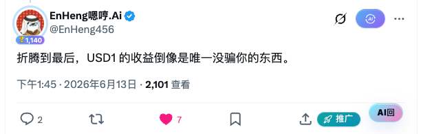 A tweet from EnHeng嘿嘿.Ai (@EnHeng456) reading '折腾到最后，USD1的收益倒像是唯一没骗你的东西。' posted June 13, 2026, with 2,101 views.