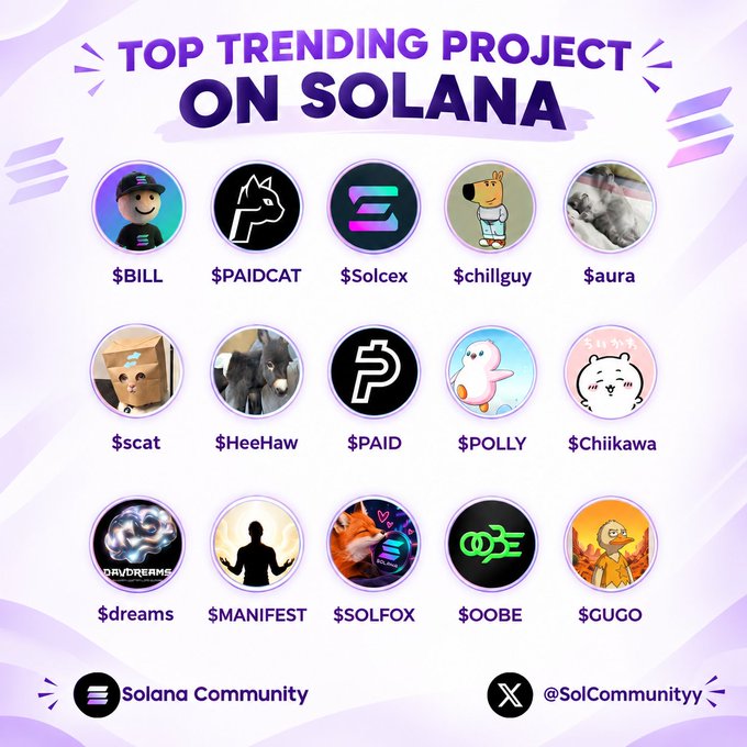 A promotional graphic titled 'TOP TRENDING PROJECT ON SOLANA' featuring 15 crypto tokens including $BILL, $PAIDCAT, $Solcex, $chillguy, $aura, $scat, $HeeHaw, $PAID, $POLLY, $Chiikawa, $dreams, $MANIFEST, $SOLFOX, $OOBE, and $GUGO.