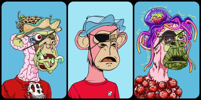 The image features three cartoon characters wearing funny hats and sunglasses, each with their own unique style. The first character wears a red shirt and has a pink hat, while the second character sports a blue hat and a green shirt. The third character is dressed in a purple outfit and also wears a pink hat. The post includes a warning about not breaking a BAYC (Bayc Full Set) if one were to do so, emphasizing the importance of respecting others' property and being considerate.