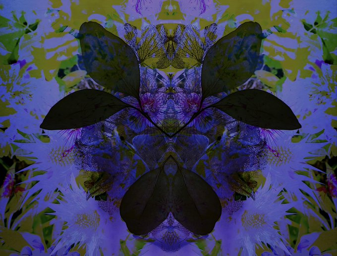 A symmetrical, kaleidoscopic design in deep purple and olive green tones, resembling layered flower petals or butterfly wings.