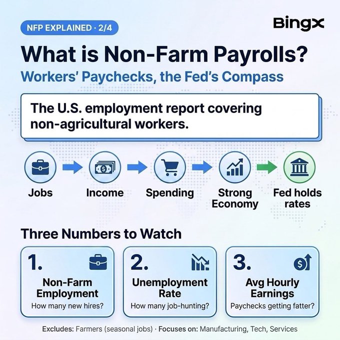 An educational infographic from BingX titled 'What is Non-Farm Payrolls?' with the subtitle 'Workers' Paychecks, the Fed's Compass,' part of an 'NFP EXPLAINED · 2/4' series. It explains the U.S. employment report covering non-agricultural workers through a Jobs → Income → Spending → Strong Economy → Fed holds rates flow chart, and highlights three key numbers to watch: Non-Farm Employment, Unemployment Rate, and Avg Hourly Earnings.