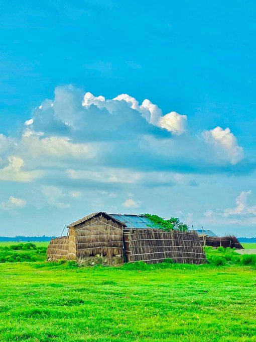 A traditional thatched-roof hut stands in a green grassy field under a bright blue sky with fluffy white clouds.