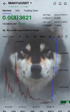 A crypto trading chart for the meme token $MANYU/USDT priced at approximately 0.0083621 USD shows an 11.69% gain, with a dramatic blue line projecting a sharp upward spike overlaid on a faded image of a Shiba Inu dog face, illustrating the post's pitch that $MANYU could replicate $SHIB's explosive gains.