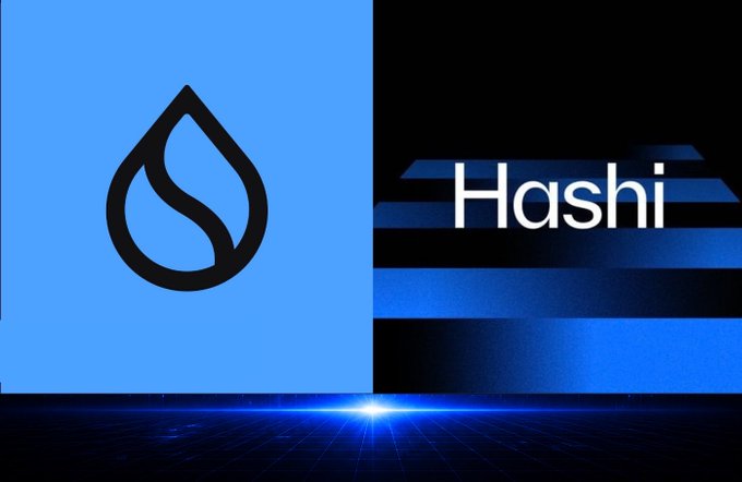 A split-screen graphic shows a black water drop logo on a light blue background on the left, and the text 'Hashi' on dark horizontal lines on the right.